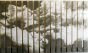 Through the Verticals 2