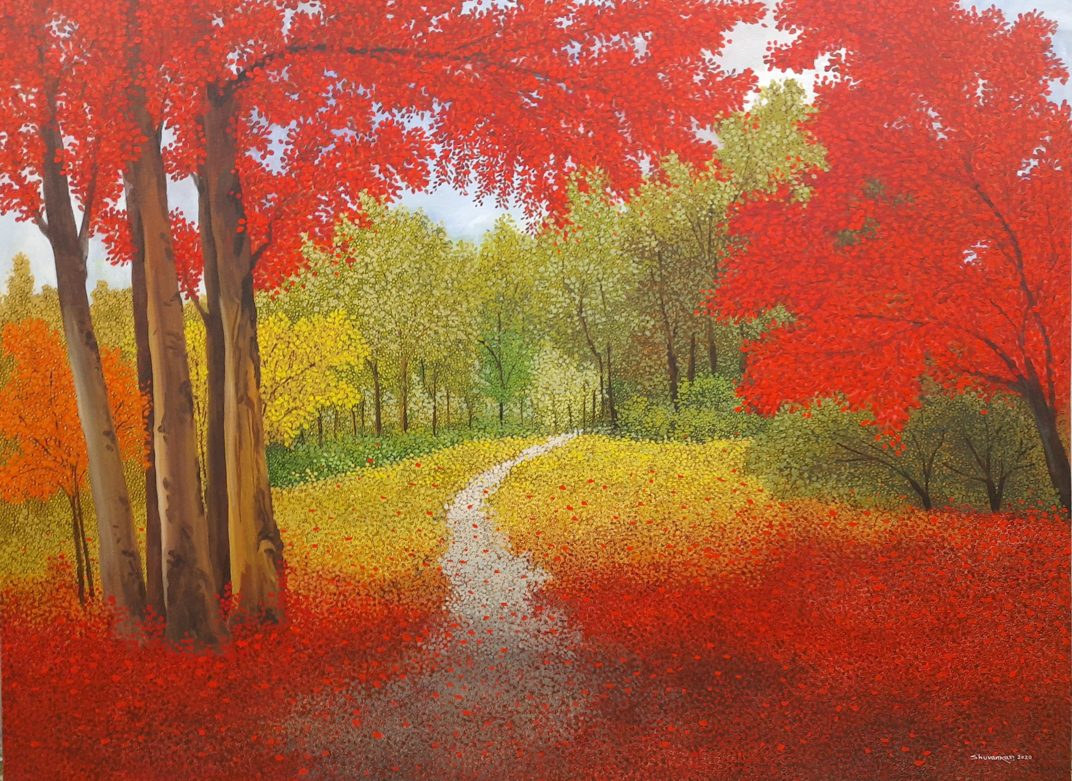 Enchanting Forest 