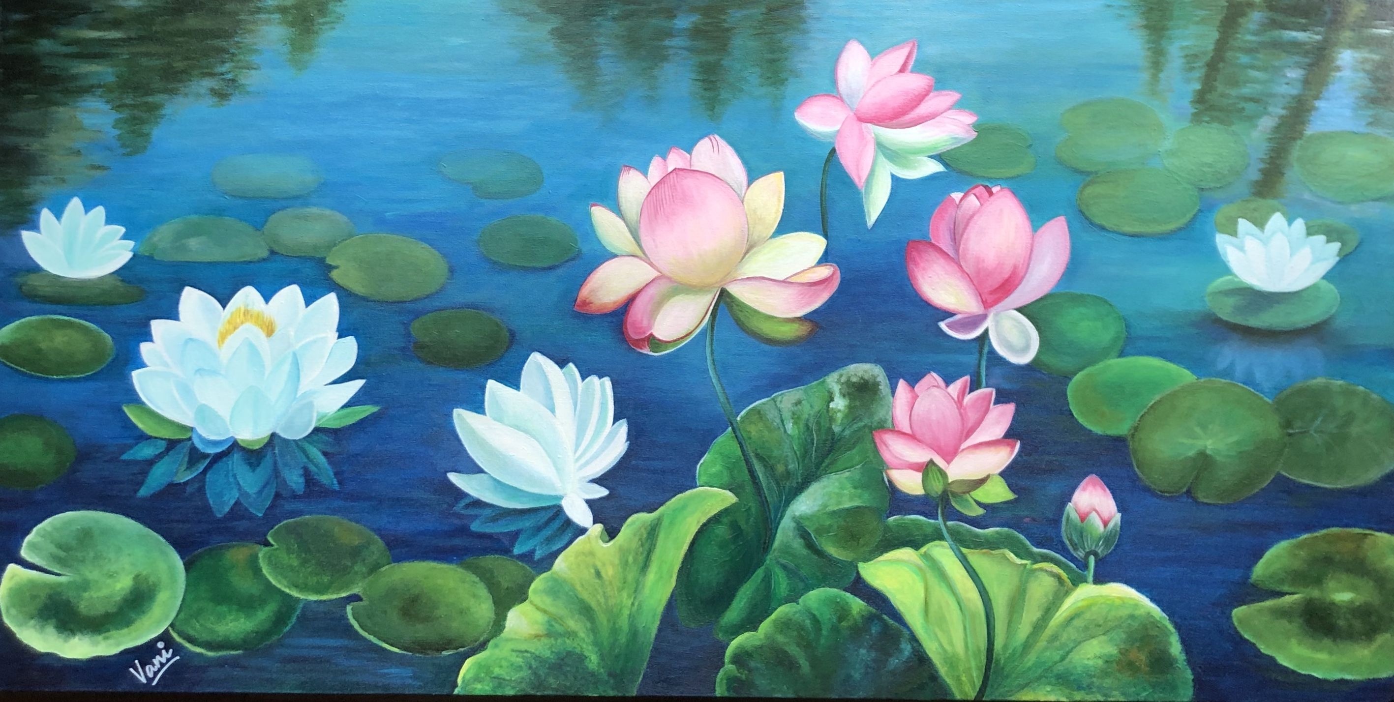 Lotus Pond