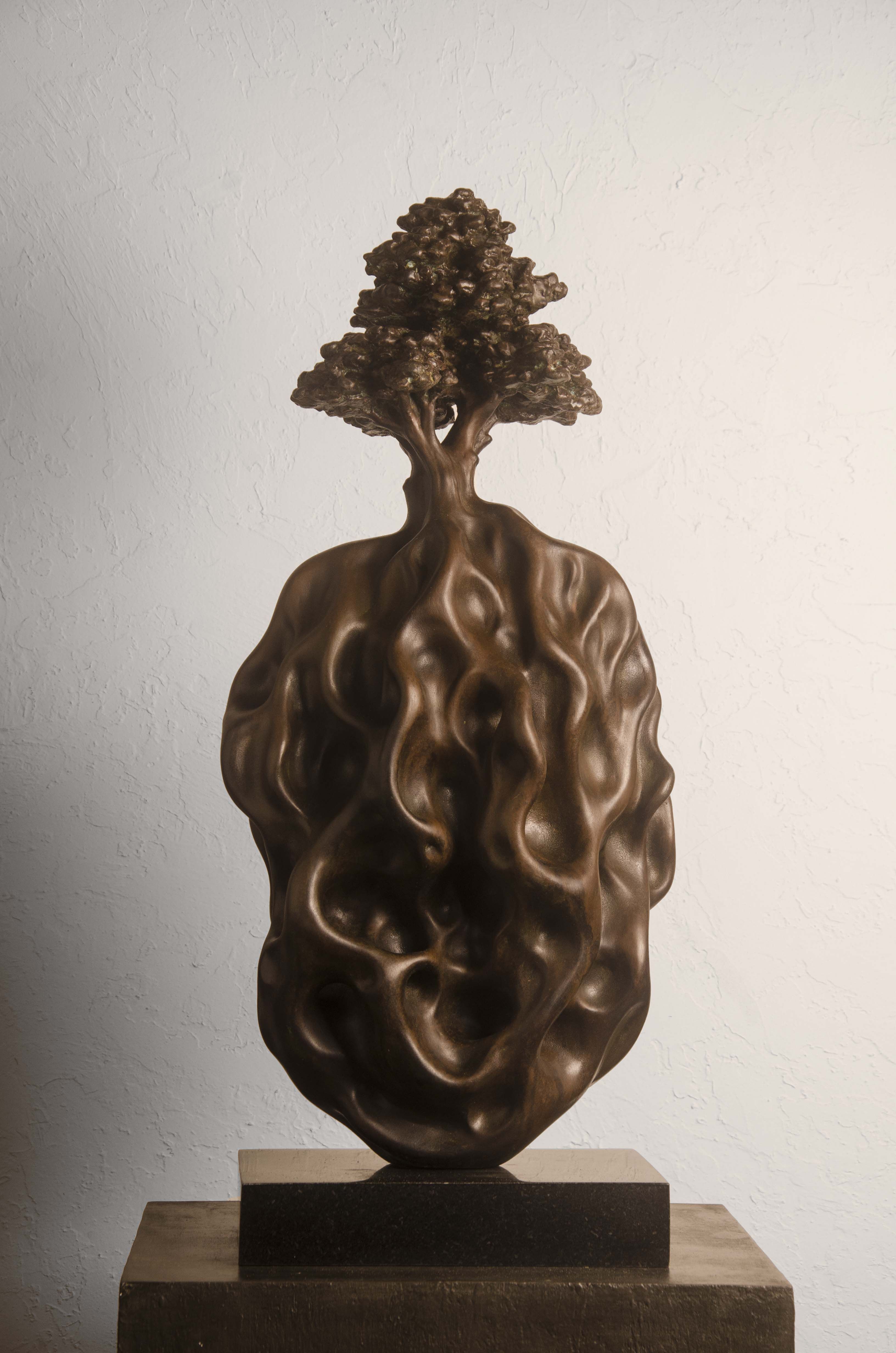 How Deep is Your Root? (Edition 1/9)