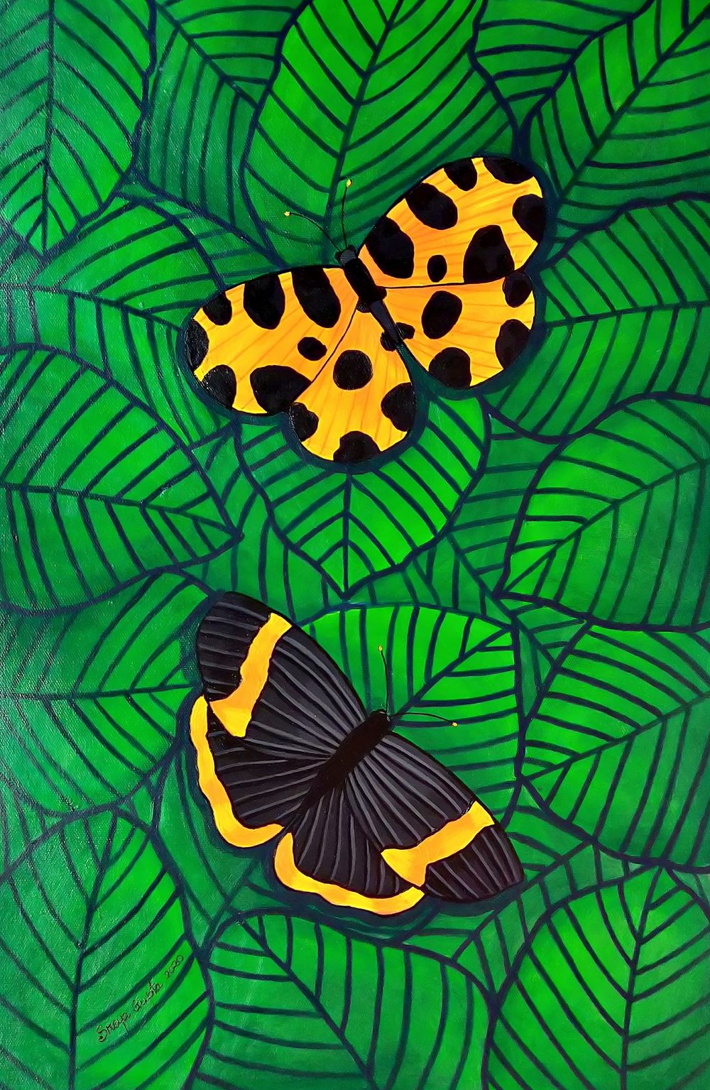 Colors of Nature 5