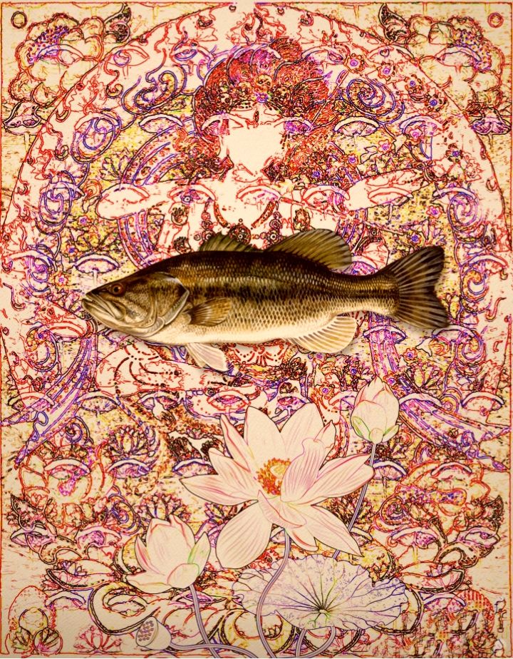 Matsya