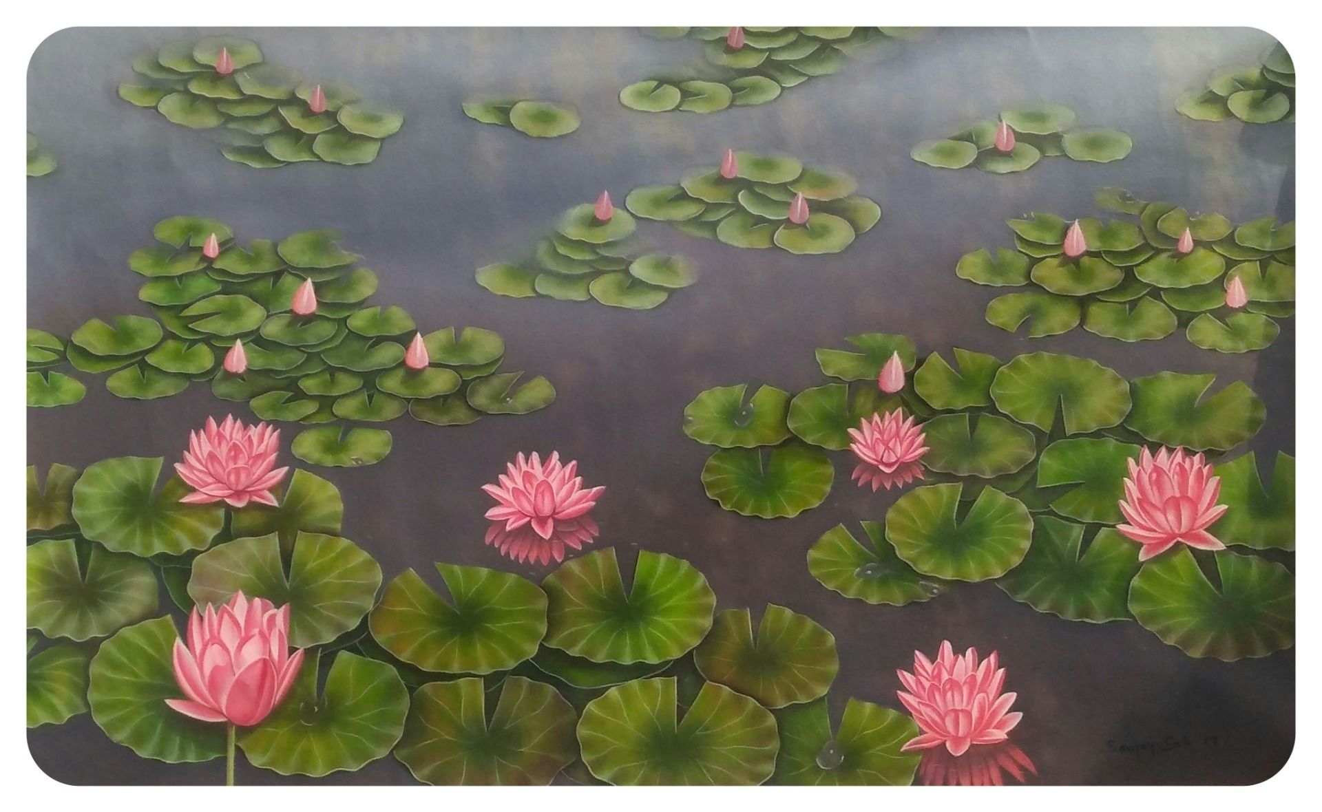 Lotus pond 3