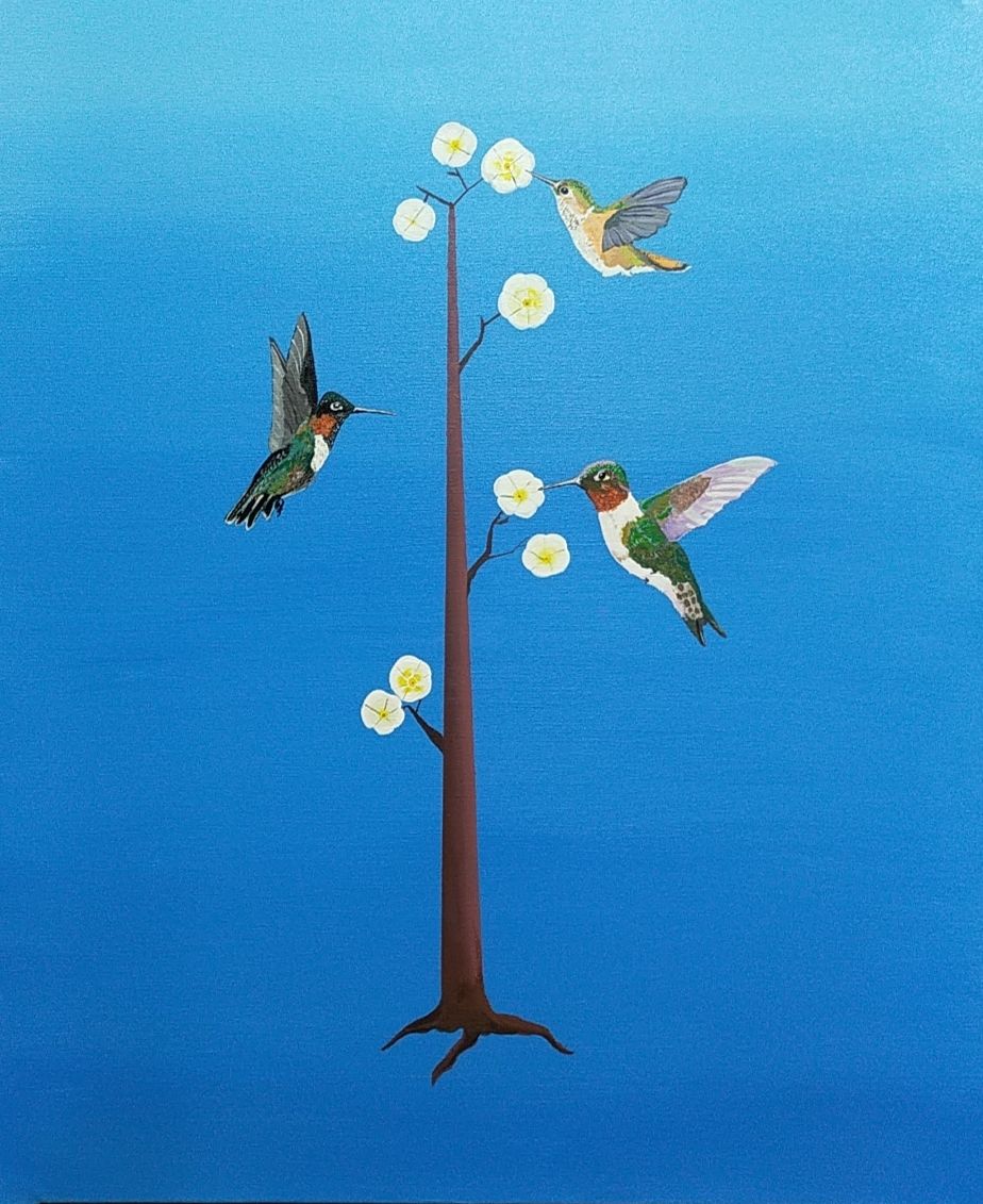 Hummingbird VII