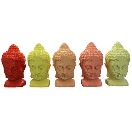 Shades of Enlightenment (Set of 5) - Edition 2 of 5