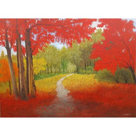 Enchanting Forest 