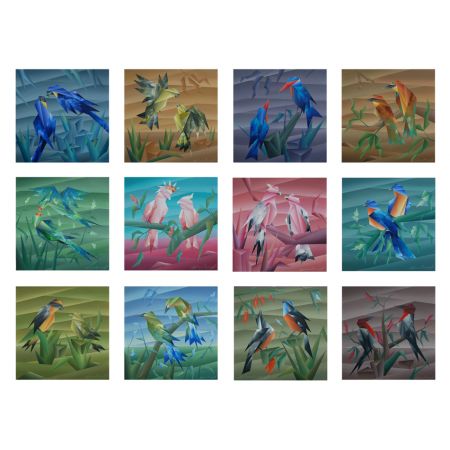 similarities (set of 12)