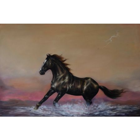 Stallion
