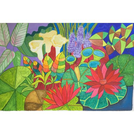 lotus pond in forest