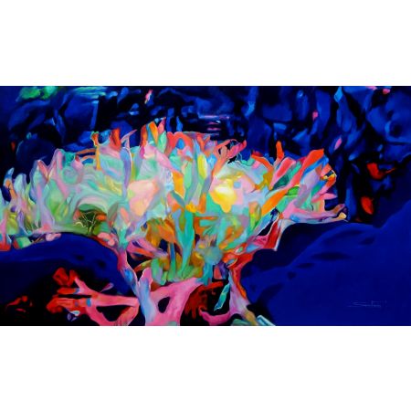 Colour of the Universe XXXIV