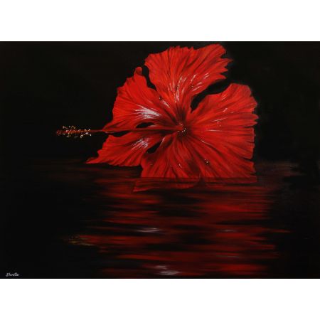 Hibiscus
