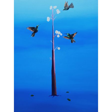 Humming Bird 1