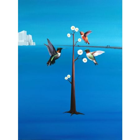 Hummingbird V