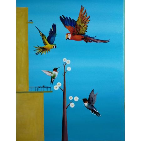 Hummingbird VI