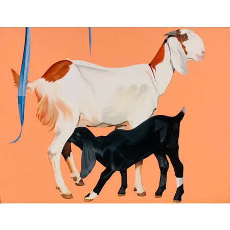 Goat love