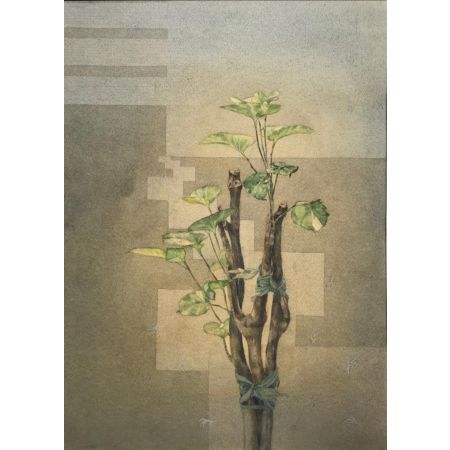 Foliage study