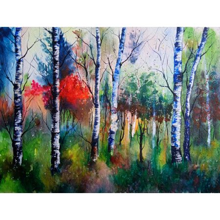 forest