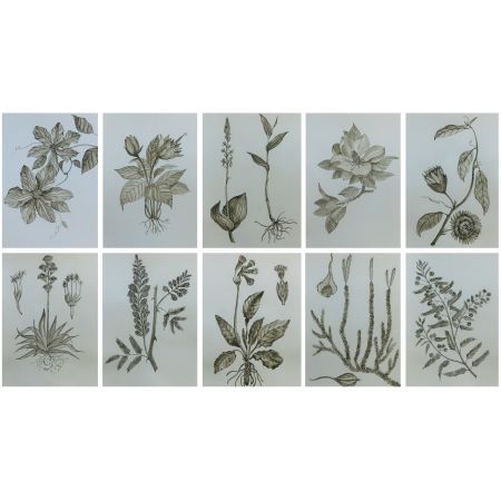 Foliage 02 (Set of 10)