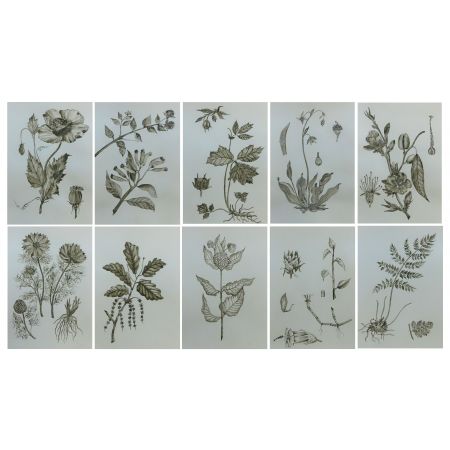 Foliage 1 (Set of 10)