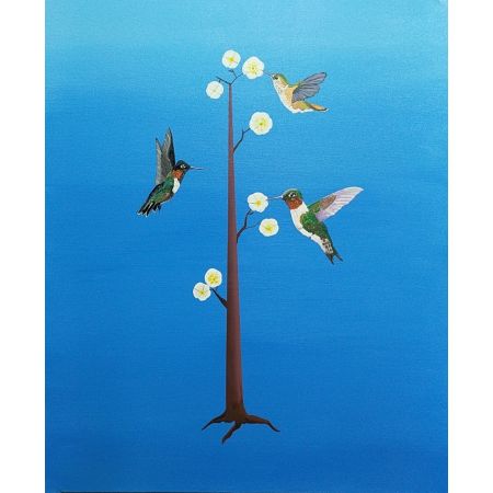 Hummingbird VII