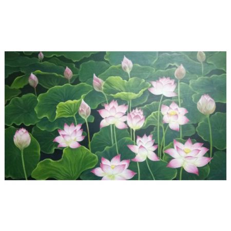 Lotus in Pond