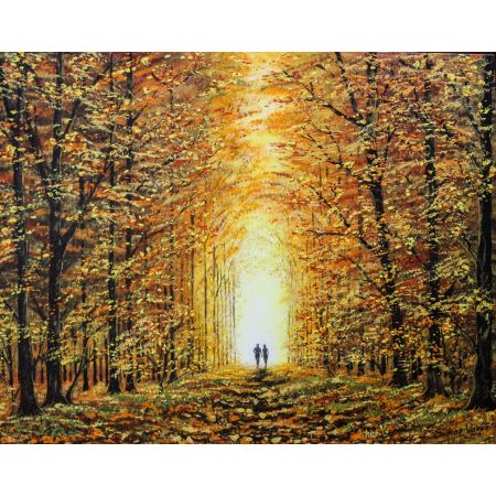 Forest walk