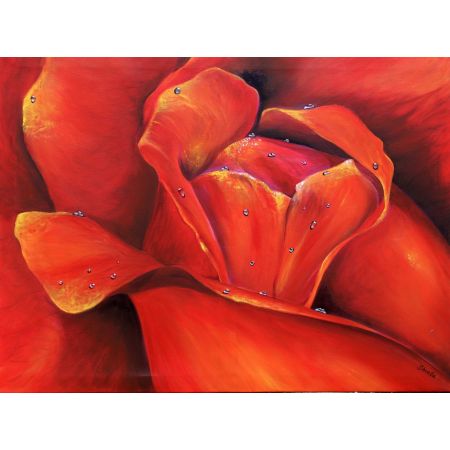 Roses are Red