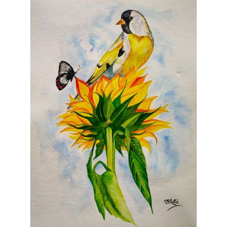 Sunflower