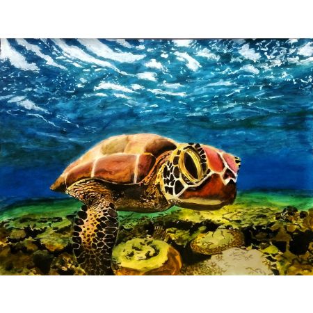 Munching Turtle
