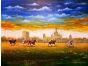 Horse Riding of kolkata