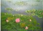 Lotus Pond 2