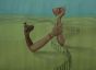 Partition in friendship by discriminative politics