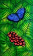 Colors of Nature 3