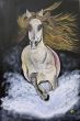 Rainbow horse