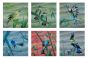 similarities (set of 6)