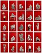 India shining ( Set Of 25 )