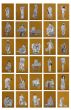 India Shining (Set Of 30)