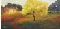 The Yellow Blossom